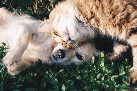 Love & Relationship